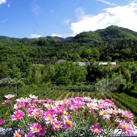 Agriturismo Ponterotto مزرعة للإقامة Ranzo-Borgo